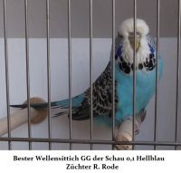 18. Zuechtertreffen 2013 003.JPG